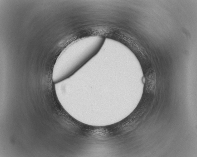 X0000115430505200912161437