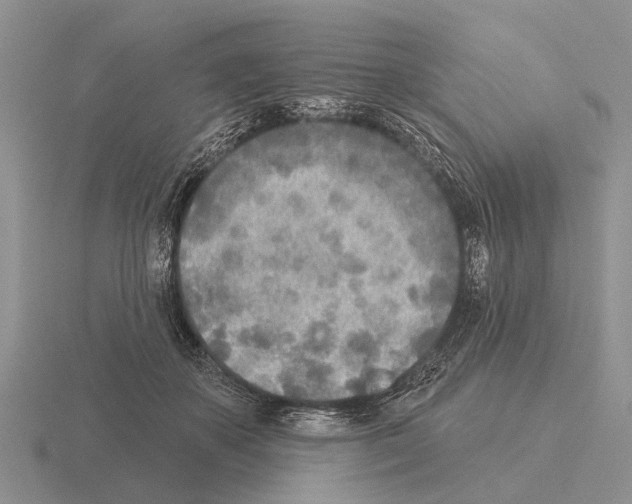 X0000115430507200912161437