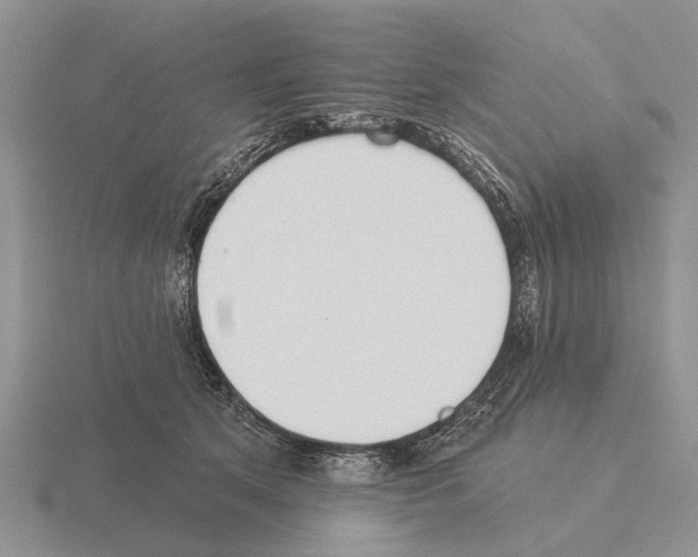 X0000115430513200912161437