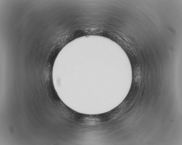 X0000115430515200912161437