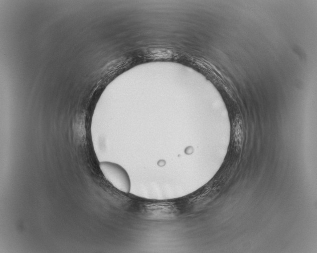 X0000115430516200912161437