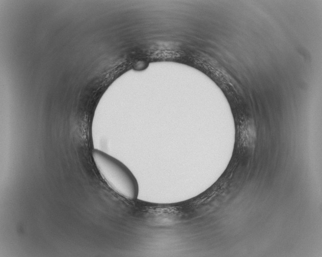 X0000115430517200912161437