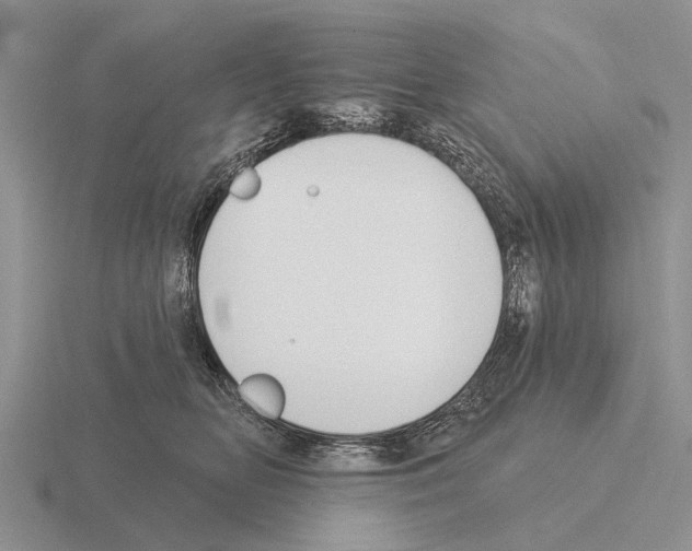 X0000115430518200912161437