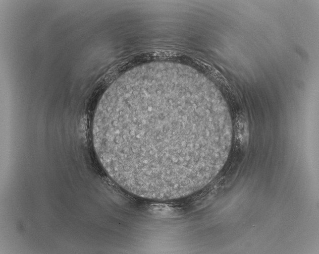 X0000115430519200912161437