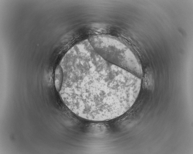 X0000115430520200912161437