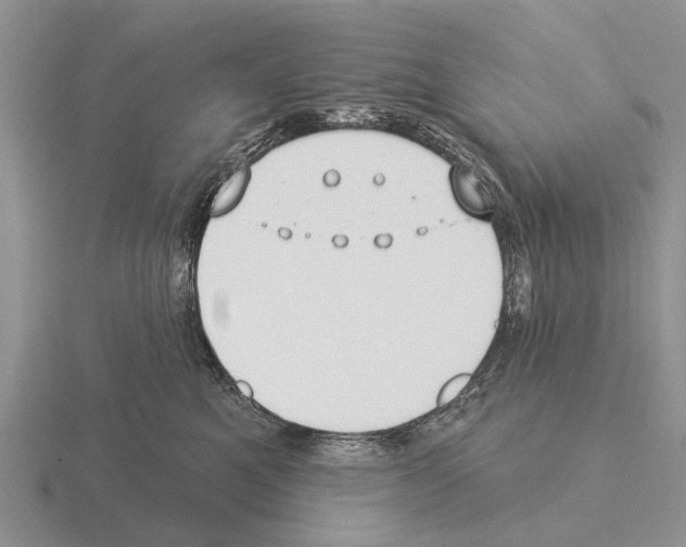 X0000115430521200912161437