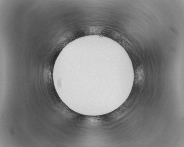 X0000115430522200912161437