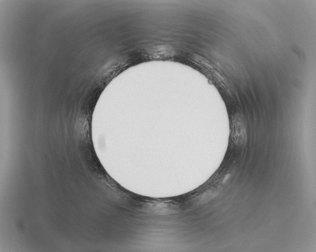 X0000115430523200912161437