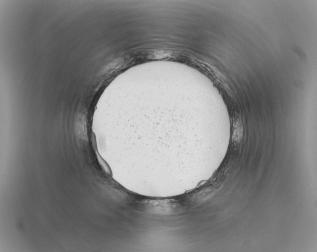 X0000115430524200912161437