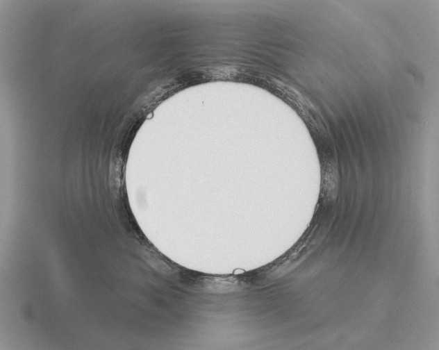 X0000115430525200912161437