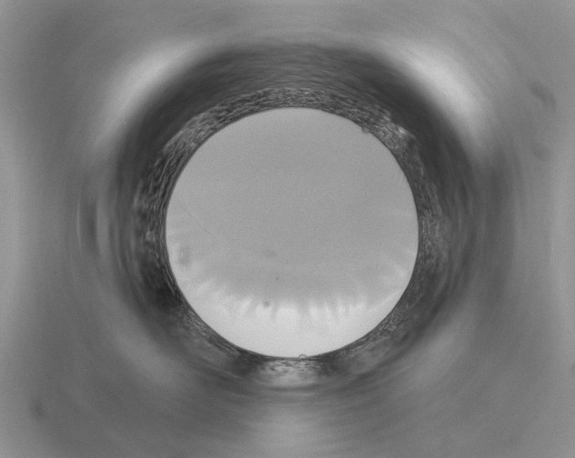 X0000115430526200912161437