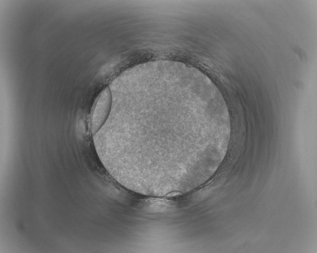 X0000115430528200912161436