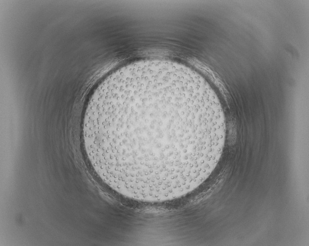 X0000115430529200912161436