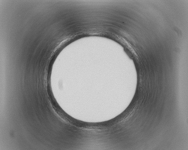 X0000115430530200912161436