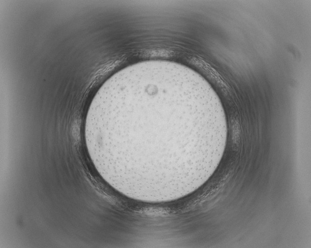 X0000115430537200912161436