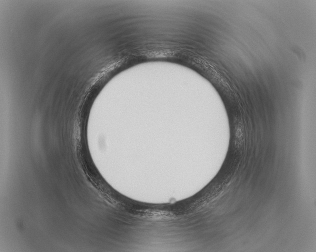 X0000115430539200912161436