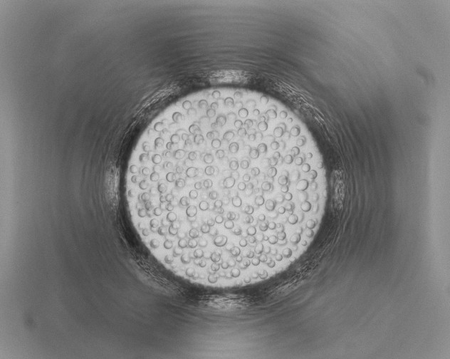 X0000115430550200912161436