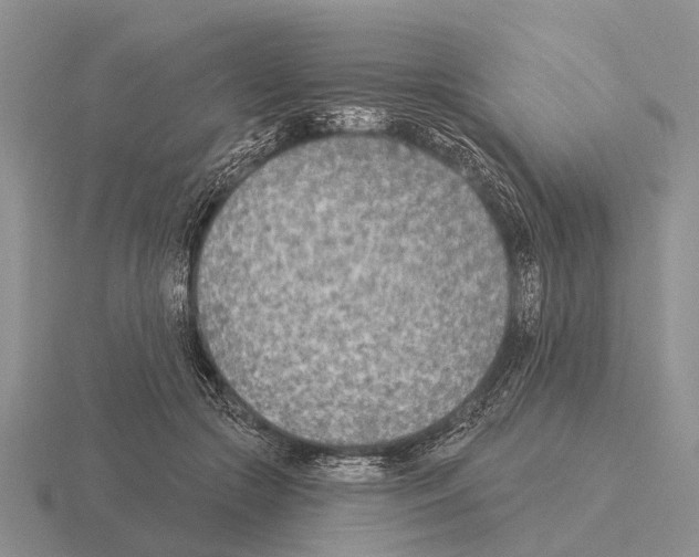 X0000115430553200912161436