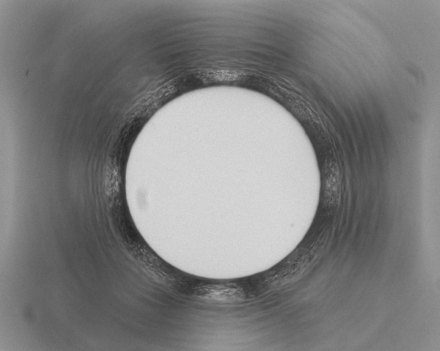 X0000115430555200912161436