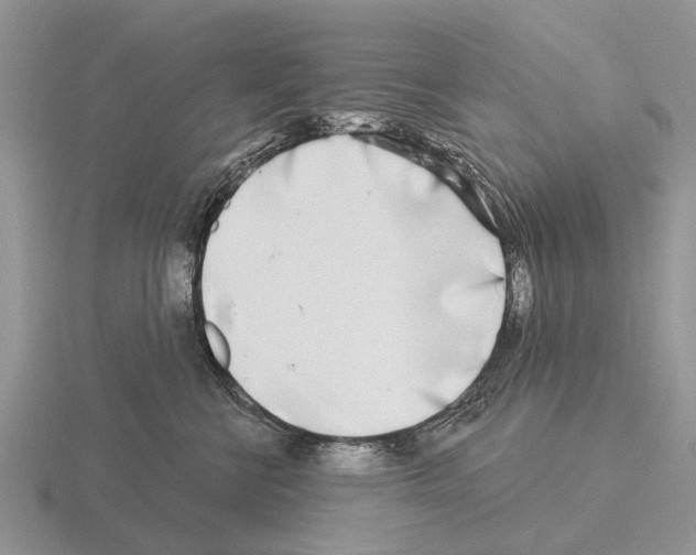 X0000115430570200912161436