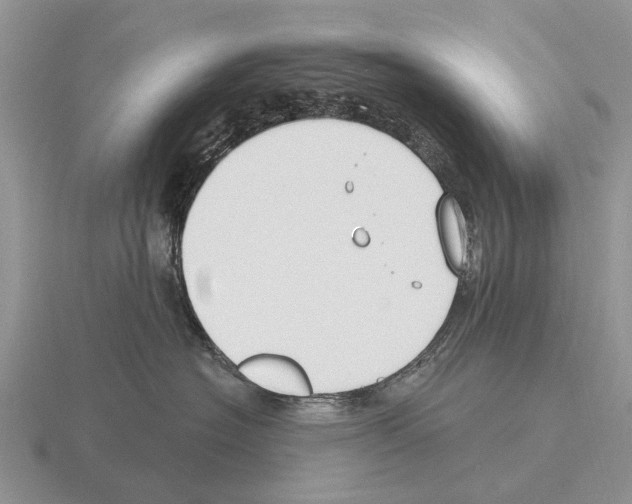 X0000115430574200912161436