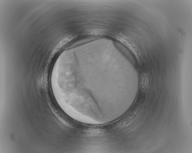 X0000115430581200912161436