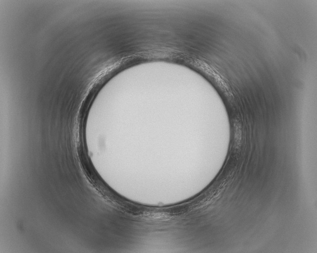 X0000115430582200912161436