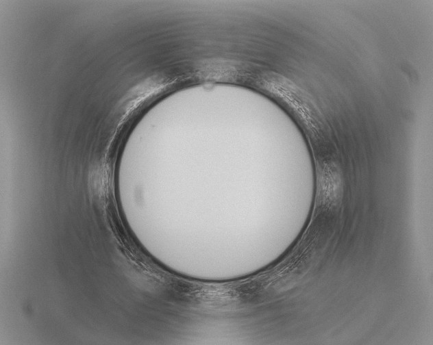 X0000115430583200912161436