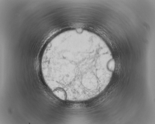 X0000115430584200912161436