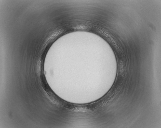 X0000115430586200912161436