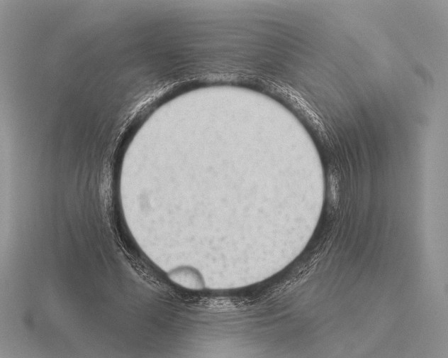 X0000115430588200912161436