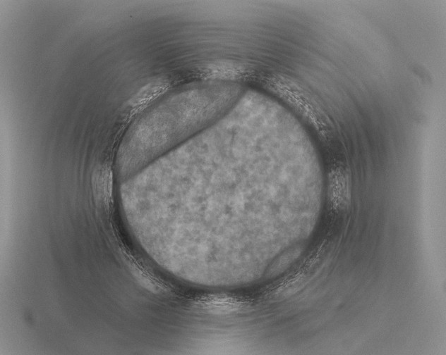 X0000115430589200912161436