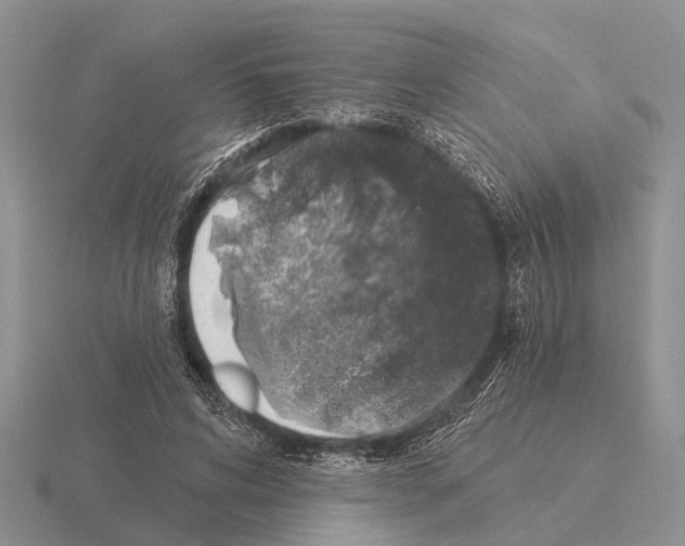 X0000115430592200912161436