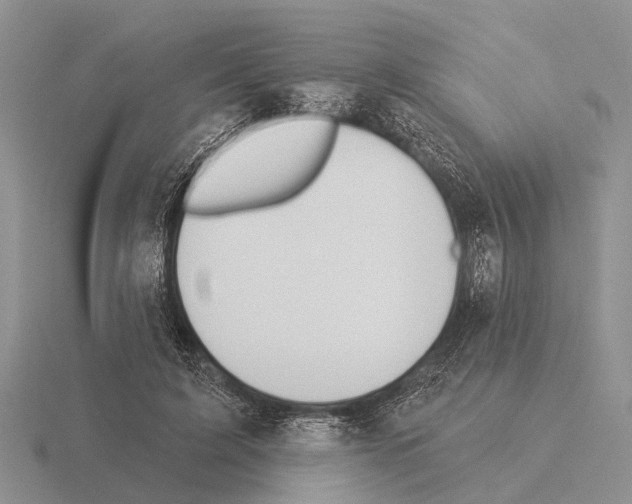 X0000115430595200912161436