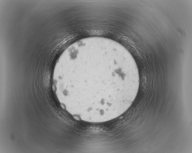 X0000115430596200912161436