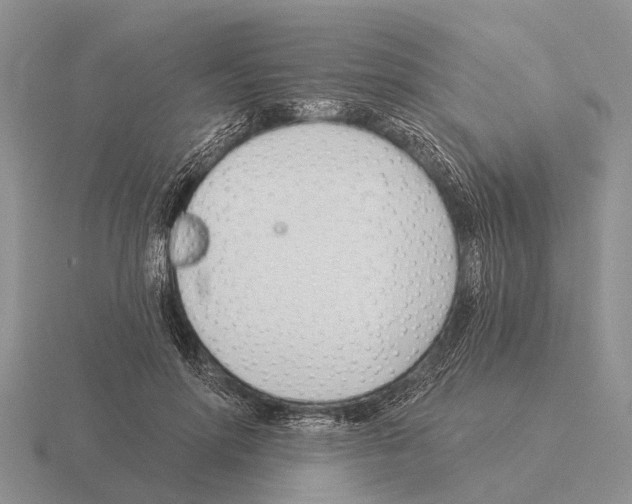 X0000115430598200912161436