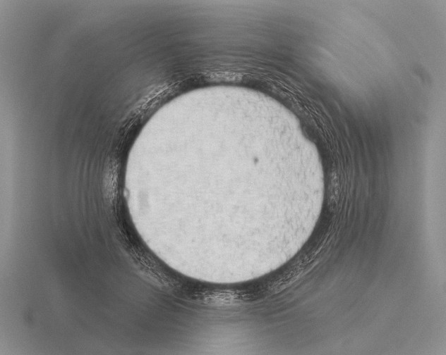 X0000115430600200912161436