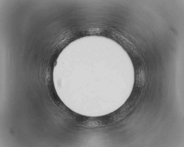 X0000115430608200912161435