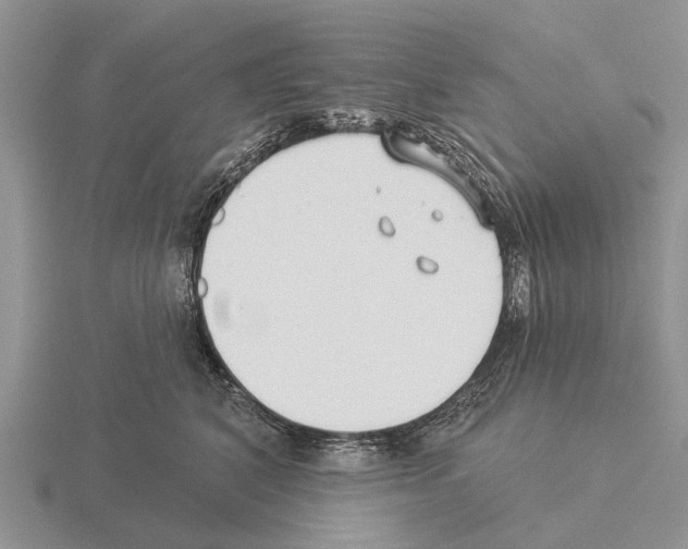 X0000115430616200912161435