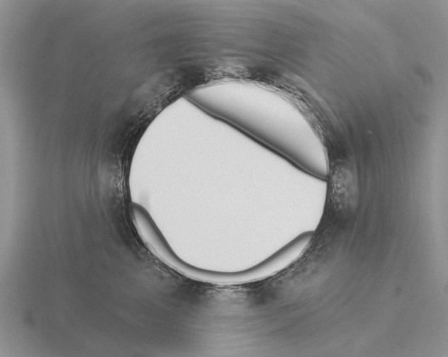 X0000115430617200912161435