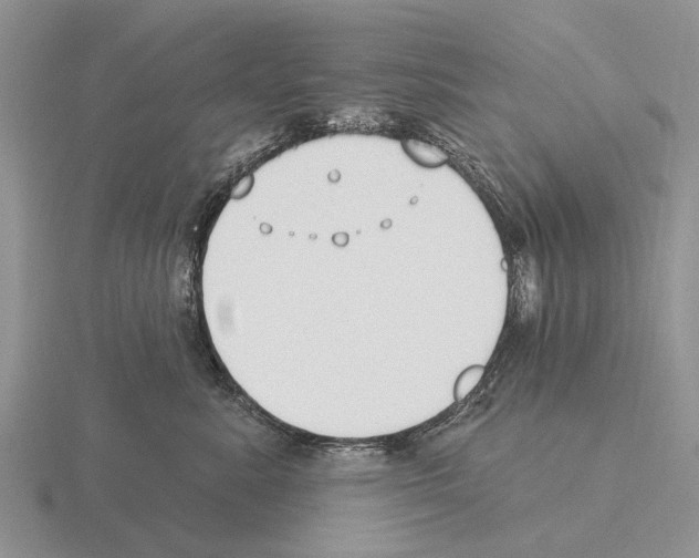 X0000115430619200912161435