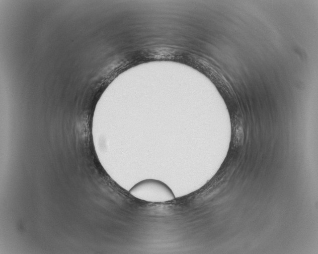 X0000115430620200912161435