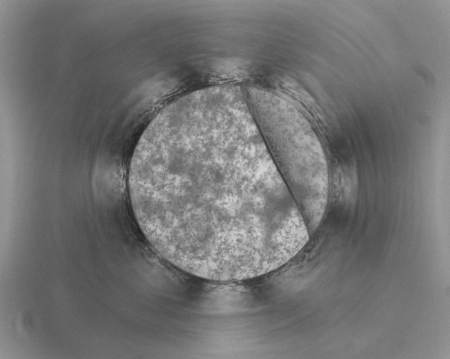 X0000115430621200912161435