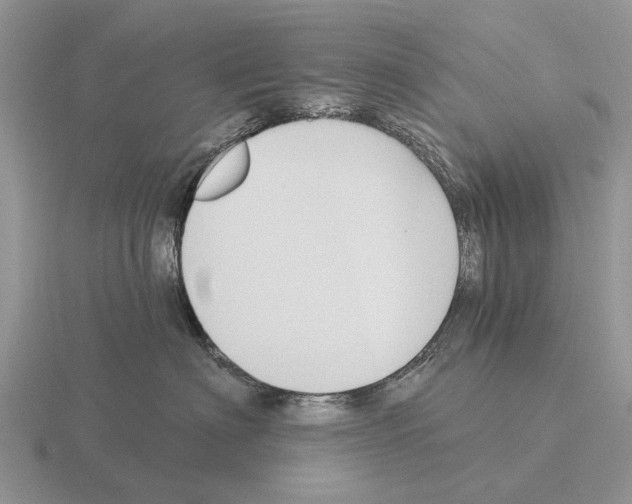 X0000115430622200912161435