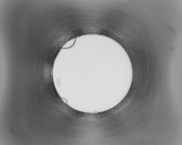 X0000115430624200912161435