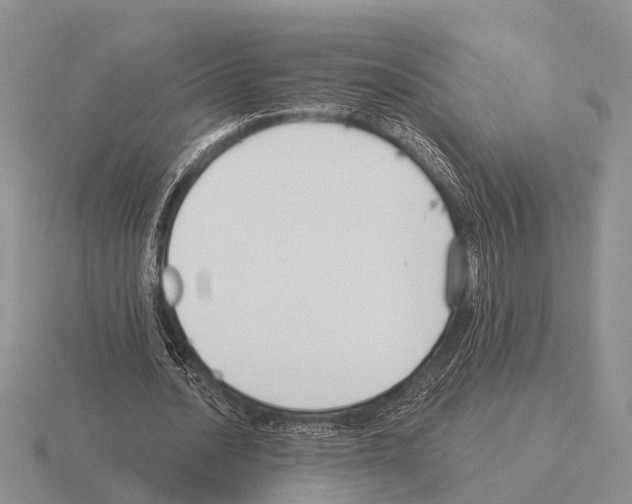 X0000115430628200912161435