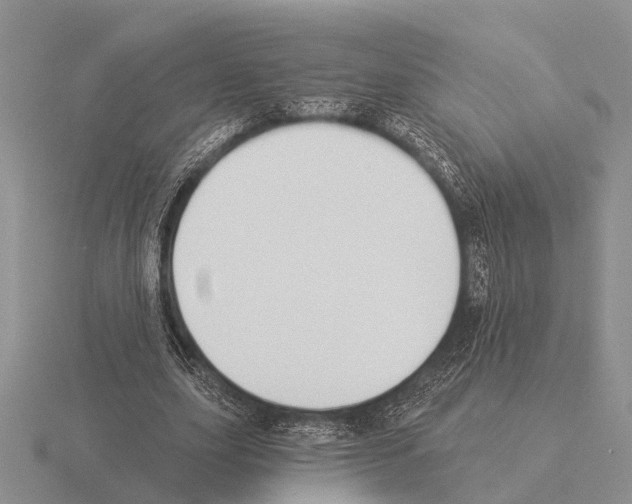 X0000115430631200912161435