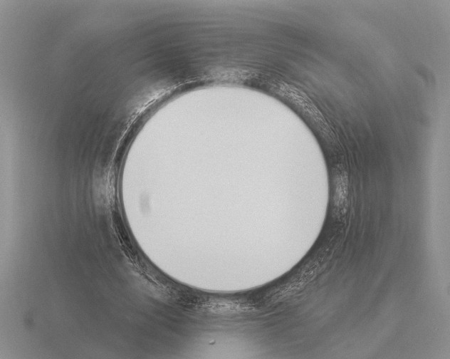 X0000115430632200912161435