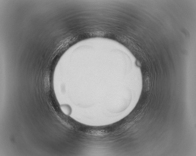 X0000115430638200912161435