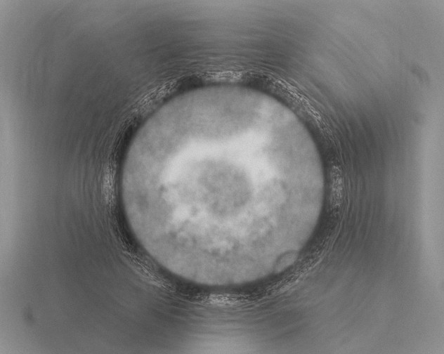 X0000115430641200912161435